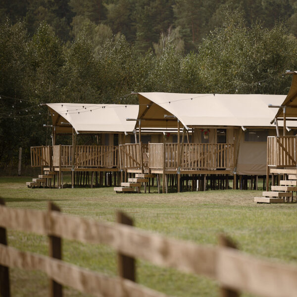 Glamping Liva Park – nasze namioty